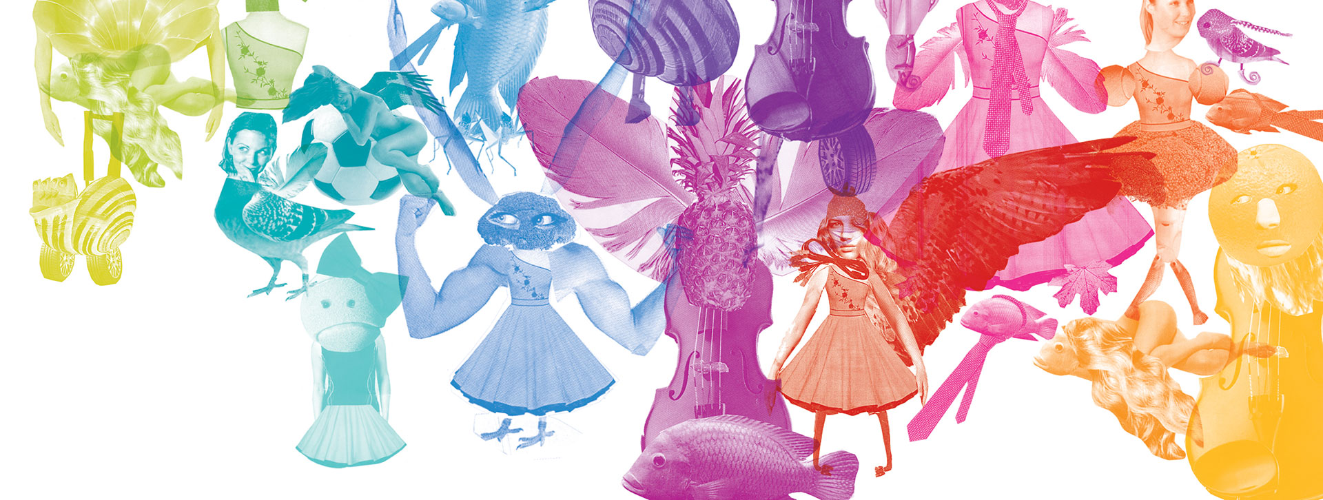 Project Header Image